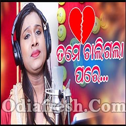 Tame Chali Gala Pare - Odia New Sad Song (Ayesha Behera)